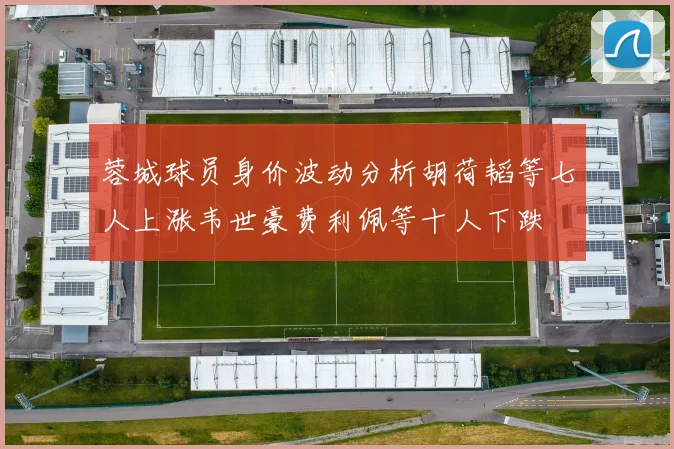 蓉城球员身价波动分析胡荷韬等七人上涨韦世豪费利佩等十人下跌
